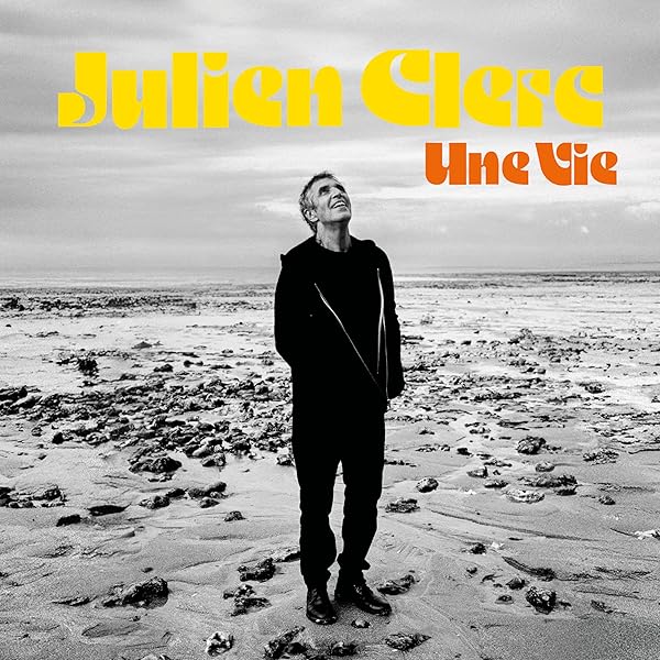 Acheter Poster portrait du chanteur Julien Clerc (60247 Acheter Poster portrait du chanteur Julien Clerc (60247