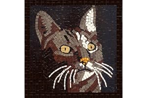 ALEA MOSAIC Découvrez l'Art Ancien de la Mosaïque avec Notre Kit pour Adultes, Carré de 20cm Chat