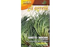 FRANCHI SEMENTI SEMI AGRETTO GR.100 FRAMCHI SEMENTI