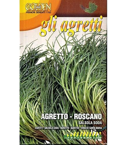 Semi Di Agretto Barba Del Frate - Salsola Soda (30 Semi) - Foto 5