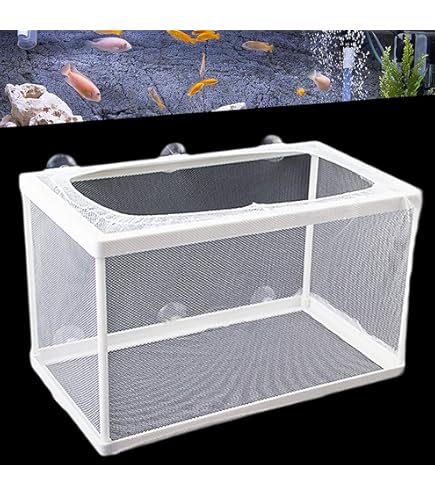 Incubatore Galleggiante Per Pesci Marina - 2 In 1 Per Avannotti E Pesci Gravidanza