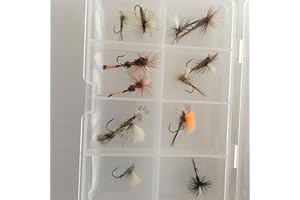 BESTCITY Angeln Fliegen Parachute Dry Fly Selection-Box von 12 Fliegen