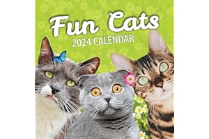 FUN PUGS Fun Cats Wall Calendar 2024 - Large Family Planner & Daily Organiser with Funny Monthly Cat Images - Slim Design 2024 Wall Planner - Cat Calendar - Funny Cat Gifts