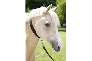 USG Neck Halter with Stout Design, Cob, Black/ Red Binding