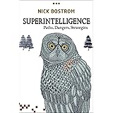 Superintelligence: Paths, Dangers, Strategies