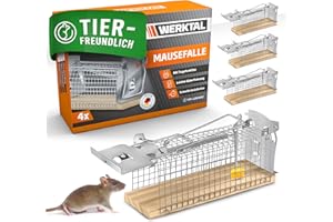 WERKTAL Mausefalle lebend - Hochsensitive Lebendfalle Maus [4er Set] - Tierfreundliche Hygenische Mäusefalle mit Doppeltür - Einfache Köderfixierung - Wiederverwendbare Rattenfalle lebend