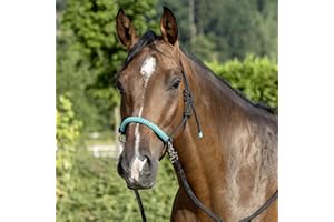 USG Cavezza con redini