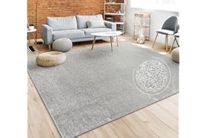 PACO HOME Tappeto per soggiorno tinta unita semplice e moderno pelo corto, div. misure e colori, Dimensione:240x340 cm, Colore:Argento