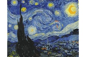 Artnapi Dipingere con i Numeri Adulti Senza Telaio | Fai da Te Dipinto a Mano | Notte stellata di Van Gogh | Kit per Principianti e Adulti | Set Incluso Colori Acrilici & Pennelli | Tela 40x50 cm