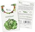 OwnGrown Premium Kopfsalat Samen (Lactuca sativa), Kopfsalatsamen zum Anbauen, Saatgut für rund 250 Kopfsalat Pflanzen Sorte Maikönig
