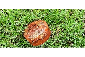 Jet International Carnelian Orgone Tower Buster Piezo Electric EMF Protection Generator Frequency Ions Tested Cloud Chem Buster