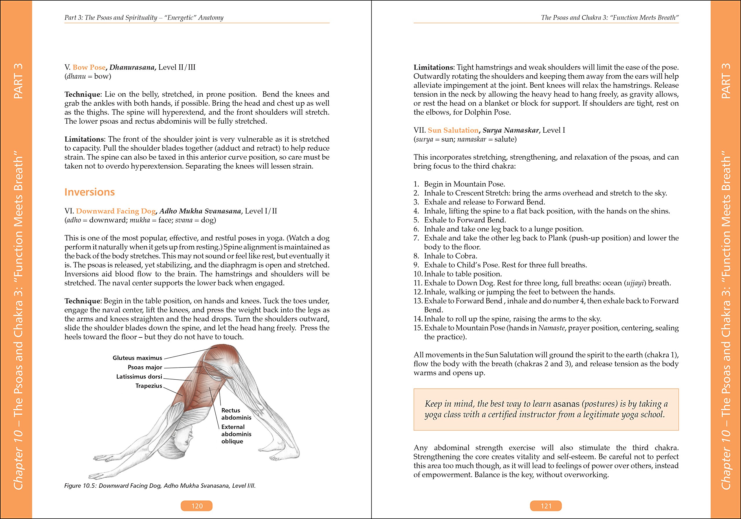 The Vital Psoas Muscle: Connecting Physical, Emotional, and Spiritual Well-Being - Image 8