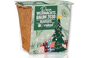 valeaf Weihnachtsbaum Anzucht Set I tolle Geschenk-Idee, Wichtelgeschenke Weihnachten, Nikolausgeschenke und Garten Geschenke I Weihnachtsbaum aus der Dose (Blaufichte)