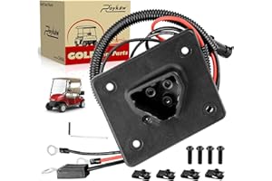 Roykaw EZGO RXV TXT Ladebuchse 48 V Golfwagen Delta-Q Ladegerät OEM #602529