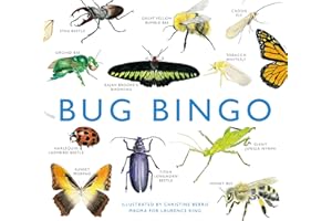 Laurence King Publishing Bug Bingo