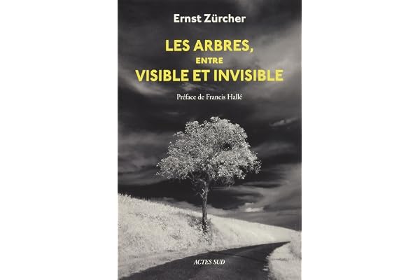 Les Arbres, entre visible et invisible: S'étonner, comprendre, agir