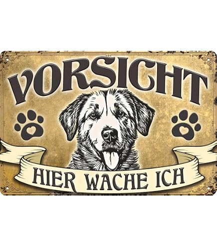 AdriLeo Warnschild 'Vorsicht Spitz' – 20x30 Cm, Aus Aluverbund, Wetterfest Für Garten & Haustür