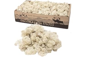 FLOWERBOX Cartone di muschio islandese naturale, 500 g