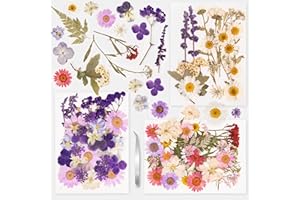 Fyshird Natürliche Getrocknete Blumen 3 Packungen Gemischte Gepresste Blumen Trockenblumen zum Basteln Klein mit Pinzette Getrocknete Blüten für DIY Kerze Scrapbook Karten Schmuck Epoxidharz Zubehör