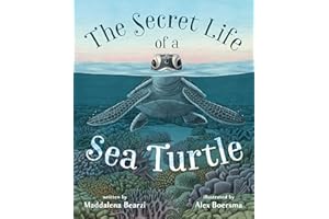The Secret Life of a Sea Turtle
