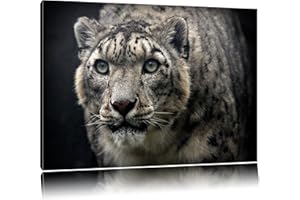 PIXXPRINT impressionnant léopard des neiges Toile, XXL photos complètement encadrée avec de grandes images de coin, art impression sur la photo murale avec cadre, moins cher que la peinture ou une peinture à l'huile, pas une affiche ou bannière
