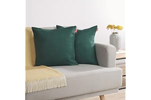 Blumtal Federe Cuscini Divano in Ciniglia, Copricuscini Divano, Federe Cuscino Divano, 2 Pezzi, 60 x 60cm, Verde