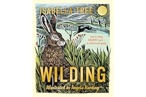 Wilding: How to Bring Wildlife Back - an Illustrated Guide: A lovely Christmas gift for young nature enthusiasts