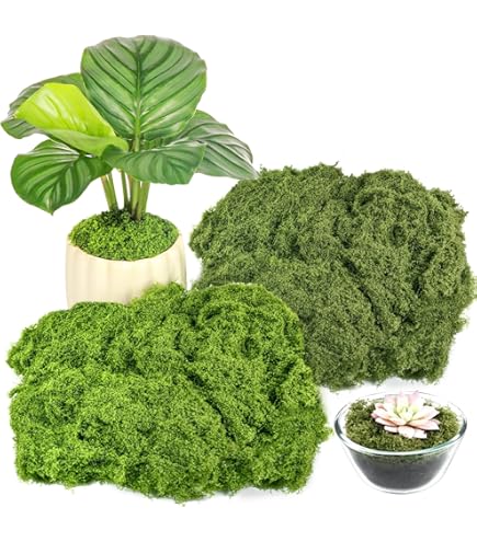 Boule De Mousse Kokedama Esschert - Diamètre 20 Cm, Avec Trou De Drainage, Pour Jardinage Suspendu