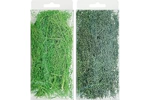 Woohome Ciuffo di Erba Statica, 2 Colore Rami di Arbusti in Miniatura, Albero Modello Erba per Modello Paesaggi DIY Artigianato