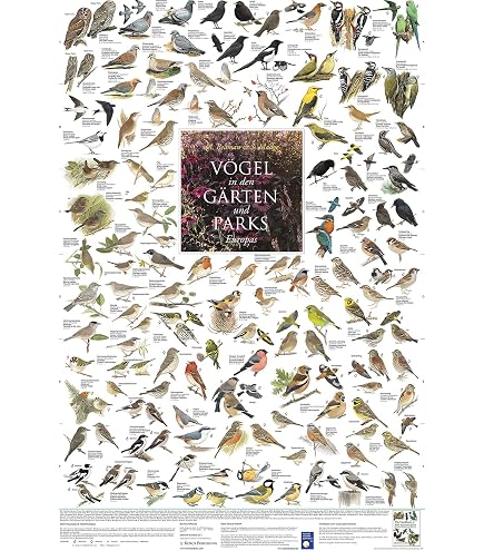 Cavallini & Co Vintage Vögel Poster – 50x70 Cm, Matt, Naturmotiv Fürs Wohnzimmer