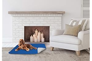 ITALIAN BED LINEN Sogni e Capricci Pets CSROYALGRIGIOCHIARO60 Cuscinetto Imbottito per Cani, Microfibra Poliestere Anallergico, Royal/Grigio Chiaro, 60 x 100 cm