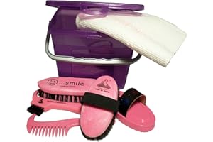 USG Haas Children's Horse Grooming Box Purple/Pink