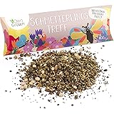 Schmetterlingstreff Blumenmischung: 100g Premium Schmetterling Blumensamen Saatgut - Insektenfreundliches Bienenweide Saatgut