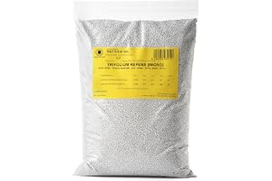 R&R SHOP - Gräsmattafrön, Dvärgklöver Trifolium repens, Ingen klippning krävs, gångbar och marktäckande (200g – 50m²)