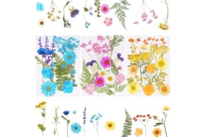 Werownsgso Getrocknete Blüten,Getrocknete Blumen,Klein Trockenblumen,Natürliche Trockenblumen gepresst Set für DIY Kerzen, Harzschmuck, Nagelanhänger, Handgemachte Home Decoration