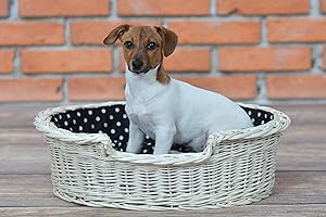 e-wicker24 EIN Tierkorb aus Weide für einen Hund/eine Katze mit einem weichen Kissen, Hundebett/Katzenbett (100, Creme)