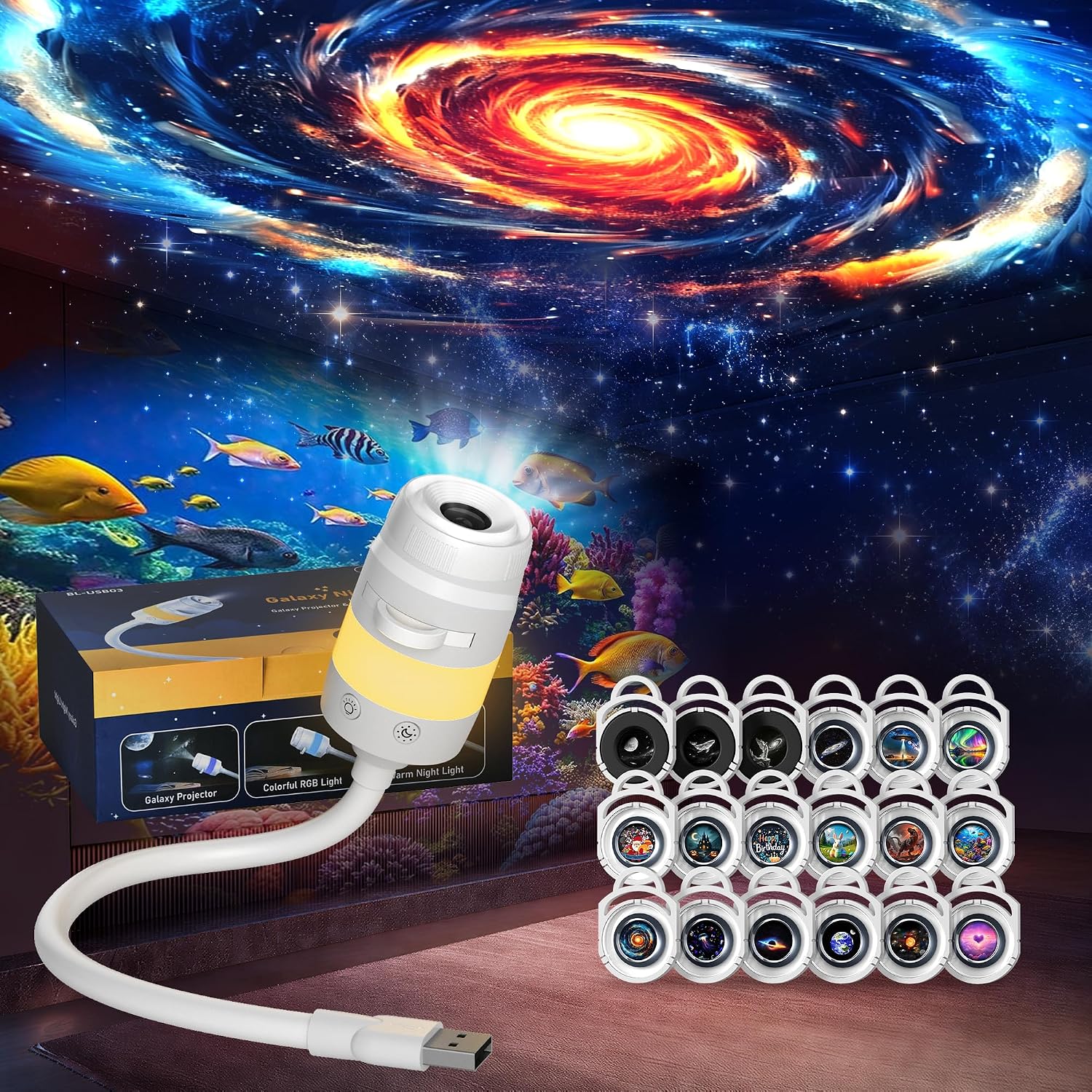 Vue 12