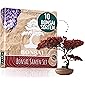 10 Bonsai Samen aus 5 Kontinenten I Exotische Baum Samen für deinen einzigartigen Bonsai Baum I Bonsai Starter Kit für…