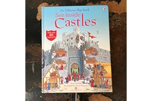See Inside Castles (Usborne Flap Books): 1