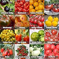Tomaten Saat Set 16 x 10 Saatgut Tomaten Mix 100% Natursamen handverlesen aus Portugal, seltene und alte Sorten, Samen…