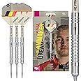 TARGET Darts Dimitri Van den Bergh Dream Maker G2 90% Tungsten Swiss Point Steel Tip Darts Set