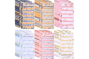 QIWUHAI 60 Sheets Budget Sheets, A6 Budget Planner, 6 Holes Budget Sheet Budget Sheets, Refill Paper Binder Organiser Budget Money Organiser Sheets Accessories for Office Home School Budget (A)