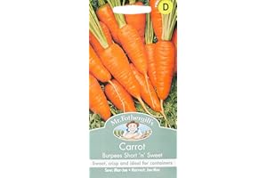 MR FOTHERGILLS Mr Fothergill's 18815 Carrot Burpees Short 'n' Sweet, Orange, 0.4 x 7.5 x 14.5 cm, 1000 Vegetable Seeds