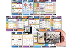 Posterfit Muscle Building & Conditioning Fitness Posters - Set of 13 - Laminated - 594mm x 420mm (A2) - Gym Workout Posters - Video tutorials
