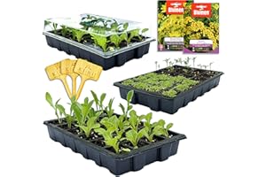 HERBARIA Semenzaio da giardino mini serra - 72 compartimenti per le vostre piantine. Set completo di 3 contenitori 3 coperchi di plastica trasparente e 3 vassoio da semina resistente da 24 vasetti l'uno