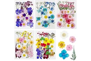 Cayway 170 Pz Naturales Flores Prensadas Secas, Blanco y Negro Hojas Prensadas Secas Naturales, Flores Secas Reales para Resina para Resina Scrapbooking, Joyería de Resina Epoxi, Colorido