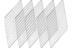 Iwatani Furnace Bata Gen. Abuie (Aburiya) w [cassette à gaz dédiée Grilled-skewers] Grille de cuisson, Ensemble de 5 pièces