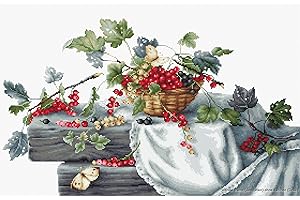 LUCAS Luca-S Currants II Counted Cross Stitch Kit, Pack of 1, Red