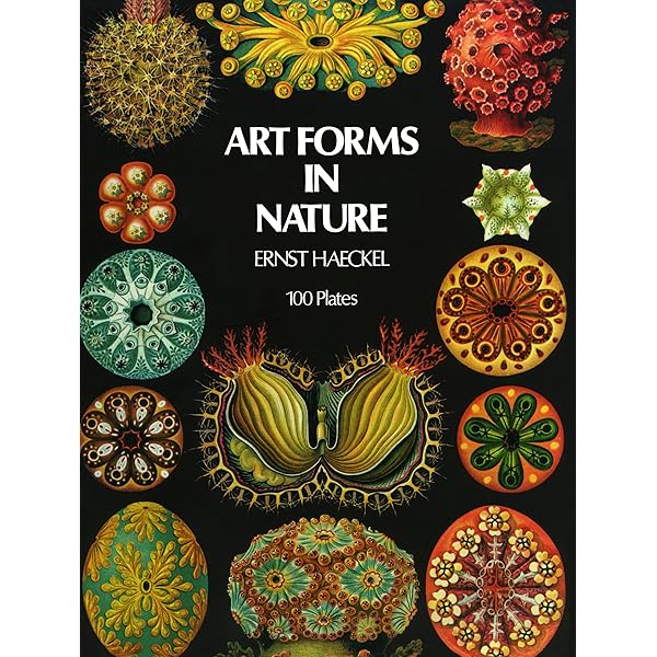 Ernst Haeckel's Art Forms in Nature: A Visual Masterpiece of