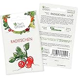 OwnGrown Premium Radieschen Samen (Raphanus sativus), Radieschensamen zum Anbauen, Radieschen Saatgut für rund 100 Pflanzen